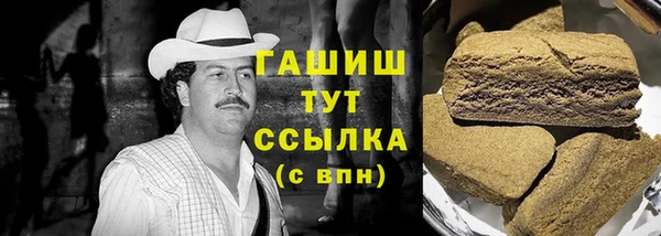стаф Алзамай