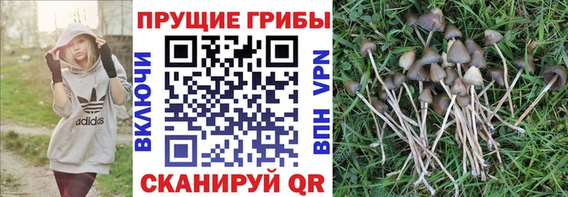 Галлюциногенные грибы ЛСД  Купить  Разумное 